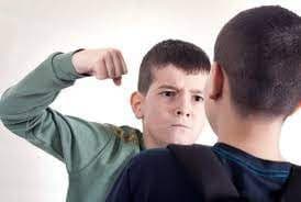 علل وپیشگیری از پرخاشگری دانش آموزان